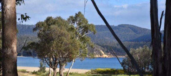 829.6m² Land in Boydtown, Australia No. 1044 7