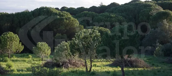  قطعة أرض في Vialonga, Portugal رقم 80852 3