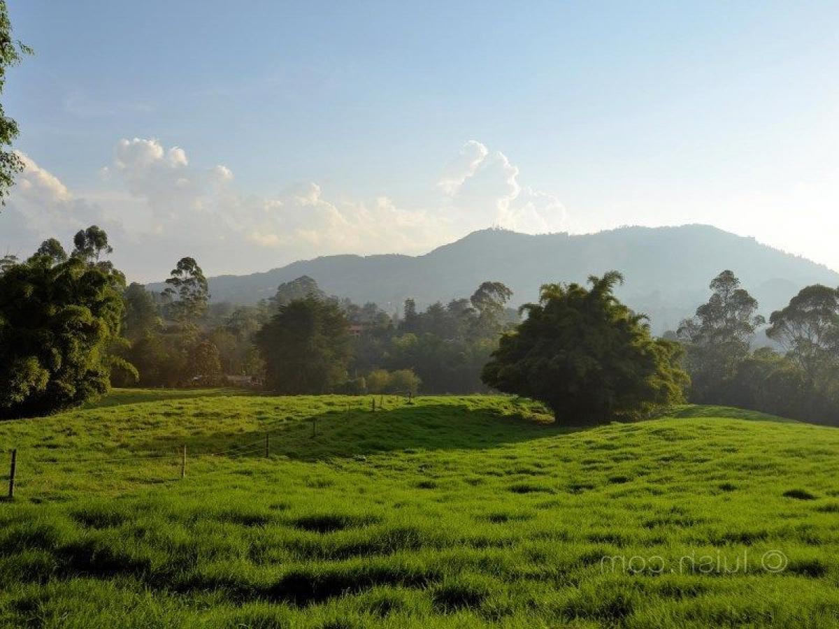  Land in Antioquia, Colombia No. 395