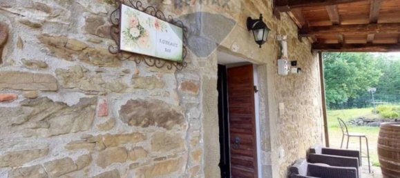 15 bedrooms House in Arezzo, Italy No. 157511 21