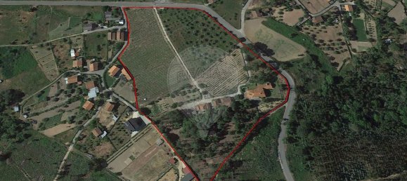 8 bedrooms House in Candosa, Portugal No. 55732 41