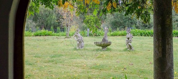 8 bedrooms House in Candosa, Portugal No. 55732 7