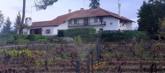 8 bedrooms House in Candosa, Portugal No. 55732 4