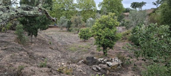 Дом с 6 спальнями в Лоле, Португалия № 130179 12