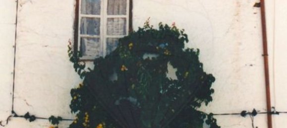 2 bedrooms House in Rosmaninhal, Portugal No. 38644 2