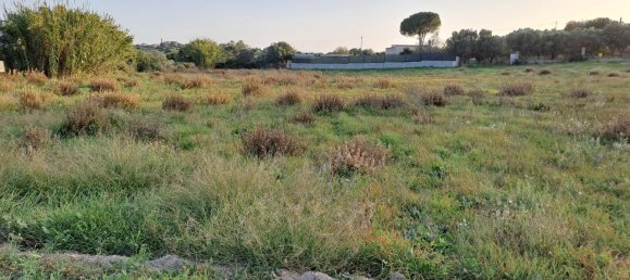 1-salle Terrain à Quartu Sant'Elena, Italy No. 5693 6