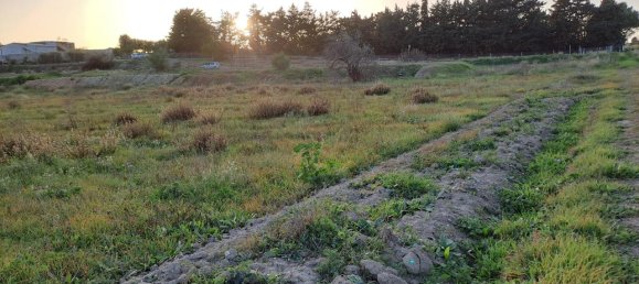 1-salle Terrain à Quartu Sant'Elena, Italy No. 5693 10