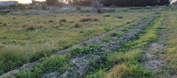 1-salle Terrain à Quartu Sant'Elena, Italy No. 5693 9