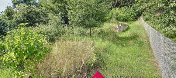 3 bedrooms House in Mutzig, France No. 243091 10