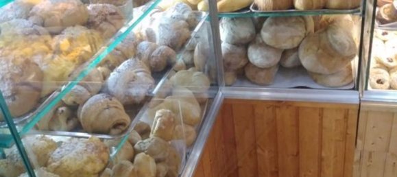 204m² Commercial property in Setubal, Portugal No. 141101 2