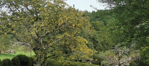 Terreno en Esslingen, Germany No. 270273 3