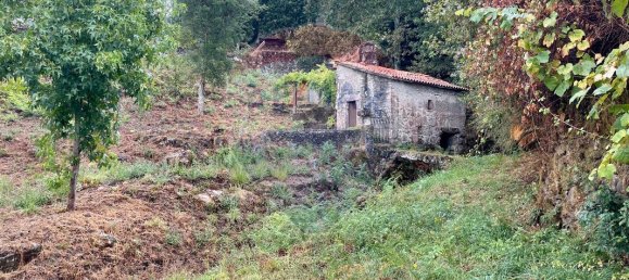 1 bedroom House in Valenca, Portugal No. 16182 14