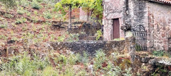 1 bedroom House in Valenca, Portugal No. 16182 9