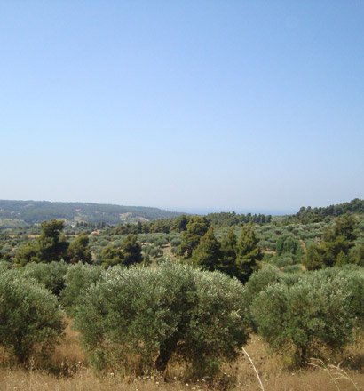 14300 m² hotel en venta en Chalkidiki, Central Macedonia, Macedonia and Thrace, Greece № 8161