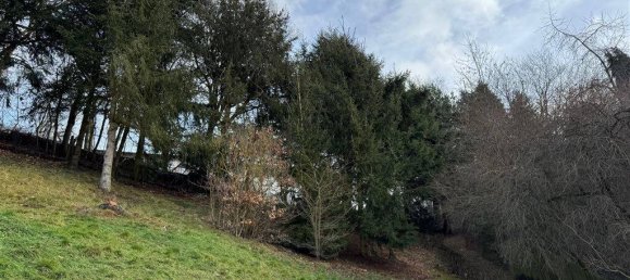 Moradia em banda de 6 divisões em Waldeck-Frankenberg, Germany N.º 177880 10