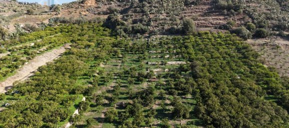 Terrain à Palagonia, Italy 10000m² No. 234248 4