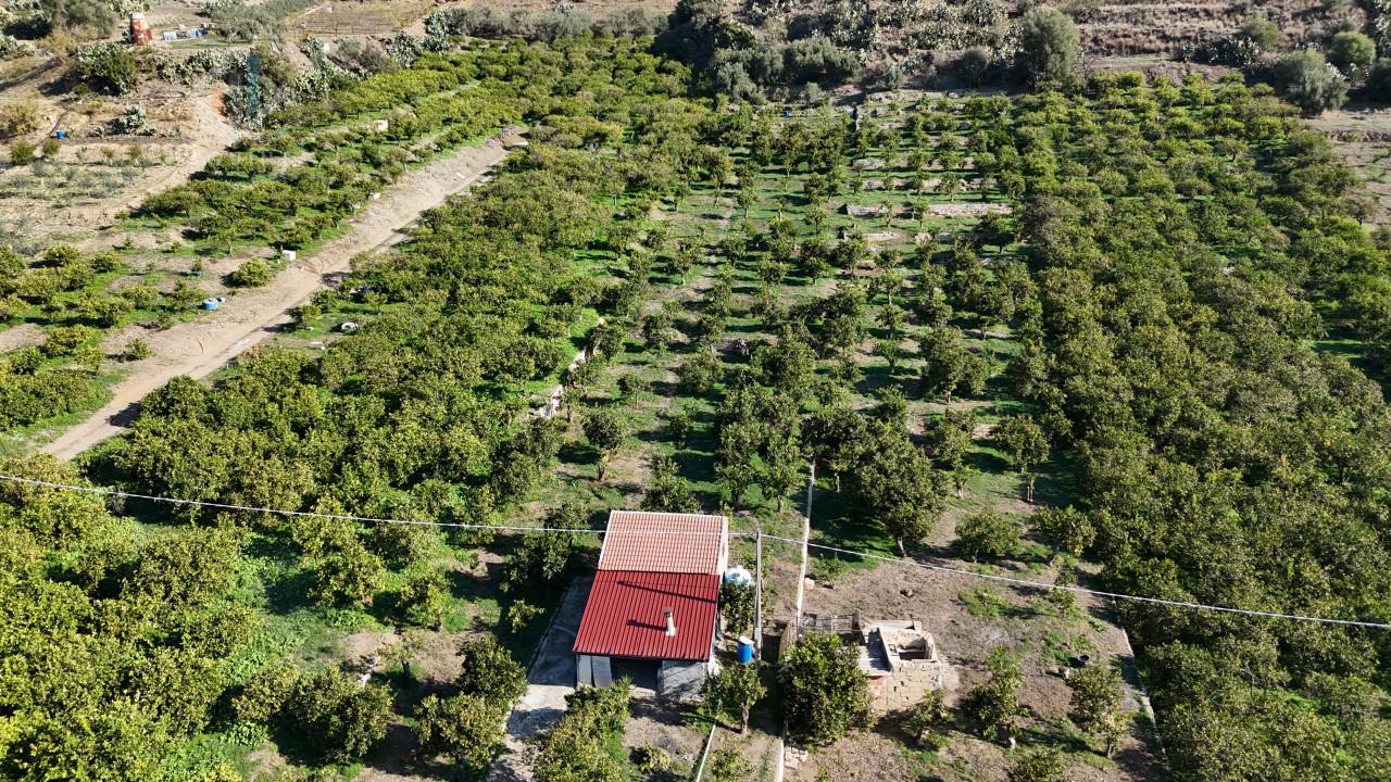 Terrain à Palagonia, Italy 10000m² No. 234248