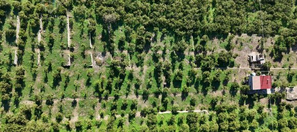 Terrain à Palagonia, Italy 10000m² No. 234248 3