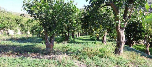 Terrain à Palagonia, Italy 10000m² No. 234248 12