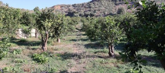 Terrain à Palagonia, Italy 10000m² No. 234248 10