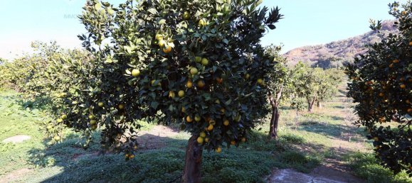 Terrain à Palagonia, Italy 10000m² No. 234248 16