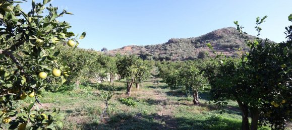 Terrain à Palagonia, Italy 10000m² No. 234248 9