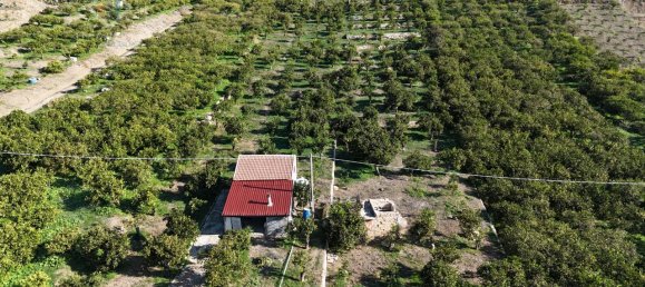 Terrain à Palagonia, Italy 10000m² No. 234248 20