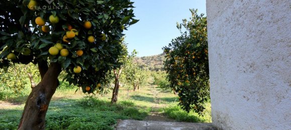 Terrain à Palagonia, Italy 10000m² No. 234248 15