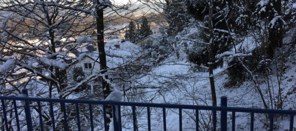 2 bedrooms Duplex in Freiburg im Breisgau, Germany No. 328650 29