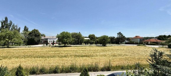 Adosado de 5 habitaciónes en Tattendorf, Austria No. 170099 17