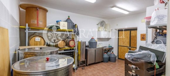 4 bedrooms House in Castel del Piano, Italy No. 270980 10