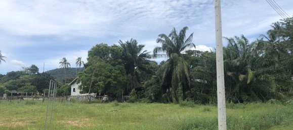  Commercial property in Phuket, Thailand No. 6752 4