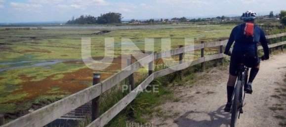 Terrain à Ovar, Portugal 750m² No. 86351 10