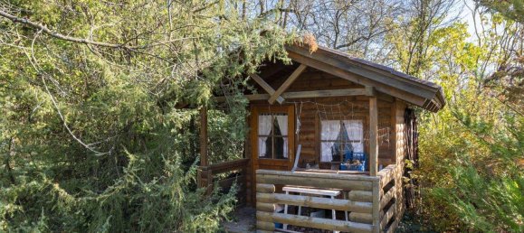 5-salle Maison à Lanzenkirchen, Austria No. 235135 20