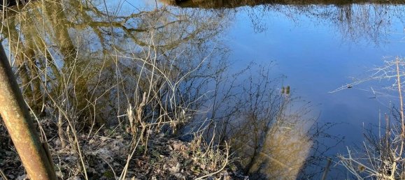  Land in Tirschenreuth, Germany No. 191542 5