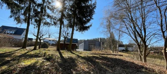  Land in Tirschenreuth, Germany No. 191542 2