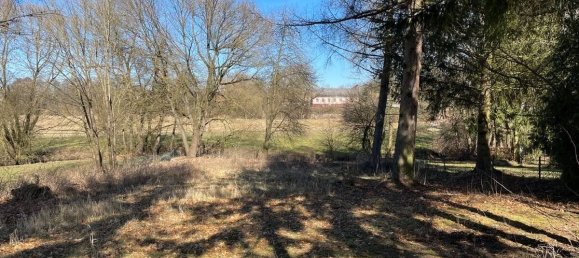  Land in Tirschenreuth, Germany No. 191542 3