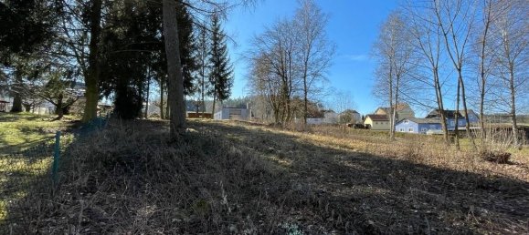  Land in Tirschenreuth, Germany No. 191542 7