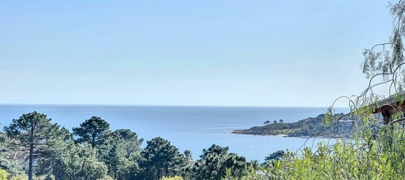 9 bedrooms House in Zonza, France No. 83661 2