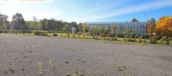 Кафе / ресторан с 10 комнатами в Аммерланд, Германия № 137075 31