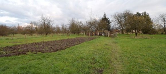 2 bedrooms House in Nettancourt, France No. 41652 5