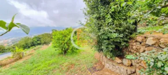 2 bedrooms House in La Orotava, Spain No. 188525 37