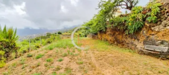 2 bedrooms House in La Orotava, Spain No. 188525 35