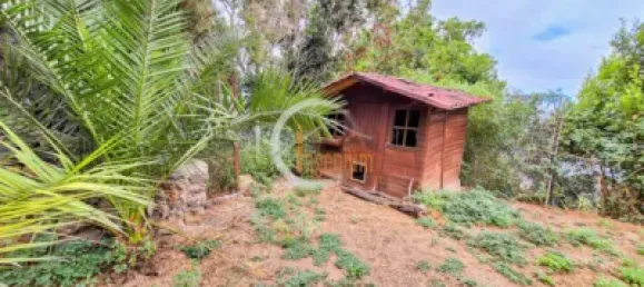 2 bedrooms House in La Orotava, Spain No. 188525 34