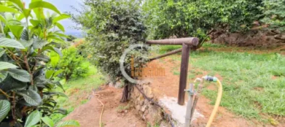 2 bedrooms House in La Orotava, Spain No. 188525 36