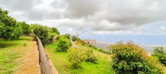 2 bedrooms House in La Orotava, Spain No. 188525 44