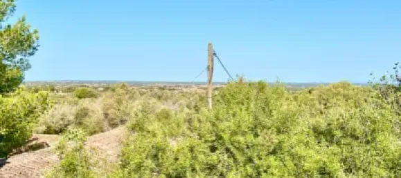 4 bedrooms House in Campos, Spain No. 188501 2