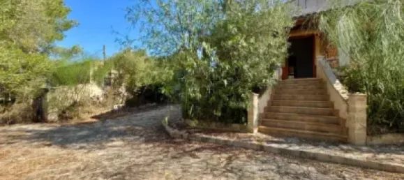 4 bedrooms House in Campos, Spain No. 188501 4