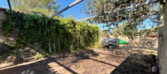 4 bedrooms House in Campos, Spain No. 188501 48