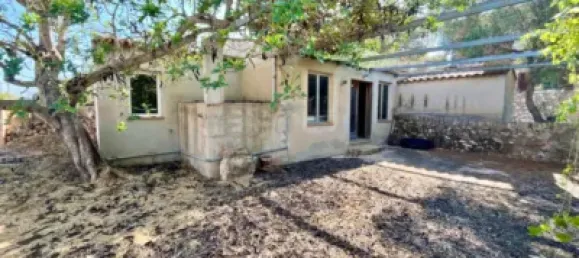 4 bedrooms House in Campos, Spain No. 188501 46